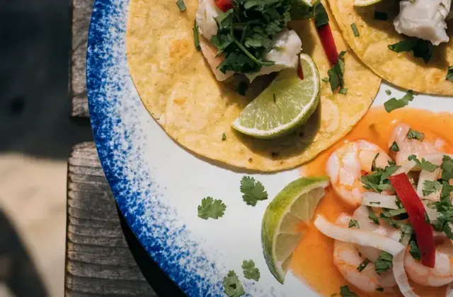 Taqueria La Gringa Costena