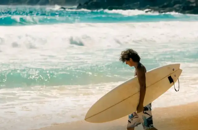 B Surfer
