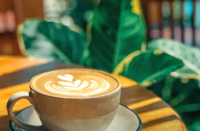 Son & Cafe