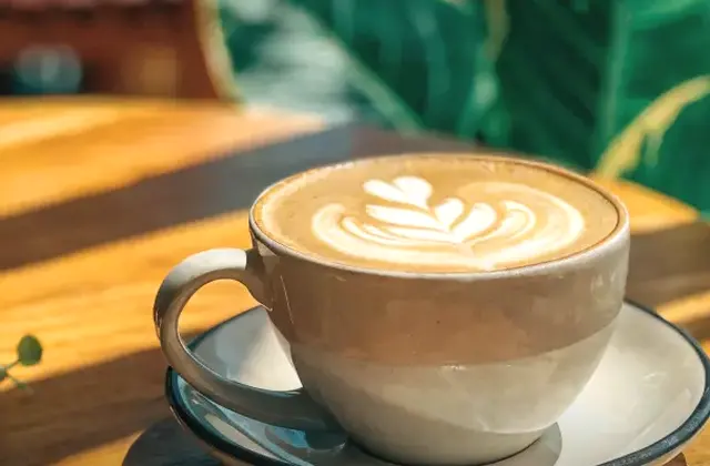 Secret Spot Cafe