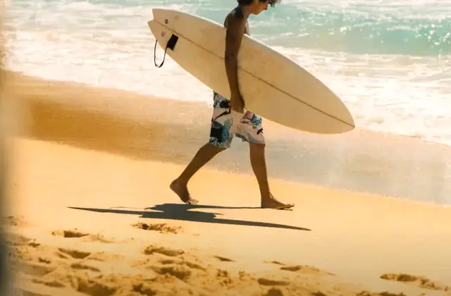 Ride the Waves