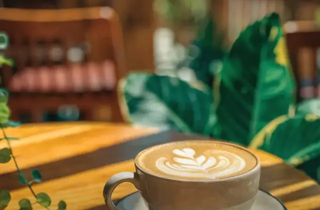 Canijo Cafe de Especialidad