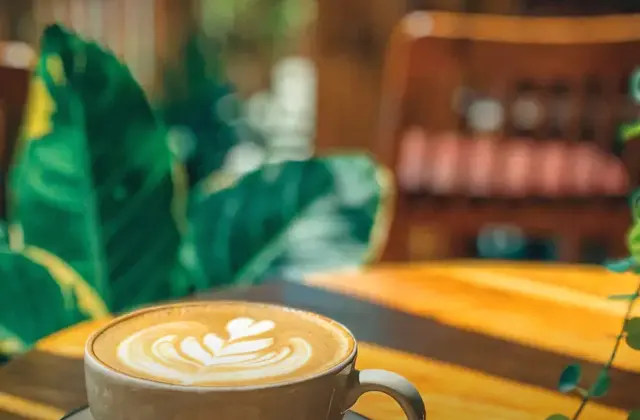 Cafe Escondido