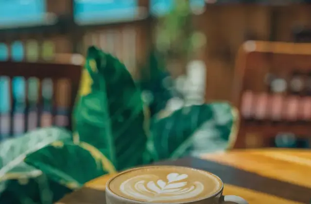 Cafe Paraiso Escondido