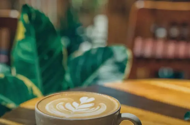 Cafe Cosechadores