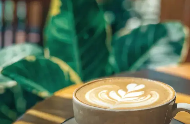 El Petit Cafe
