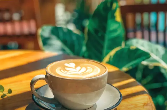 YAAB Vegan Kitchen & Cafe