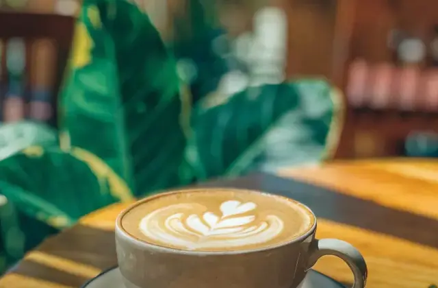 Cafe Elephant Garden
