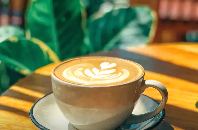 Cafe Botanico