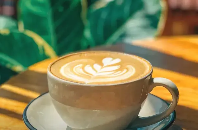 Cafe Paraiso