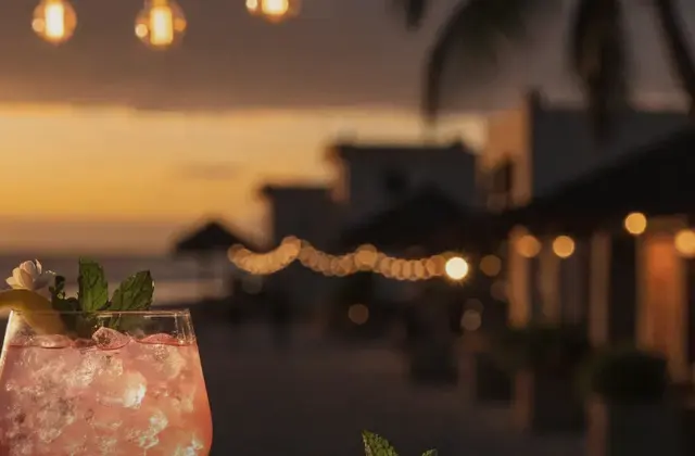 Palapita Bar