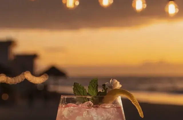 Cactus Restaurant & Bar