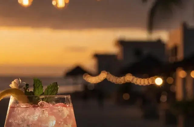Restaurant-Bar La Palapa Del Chacal