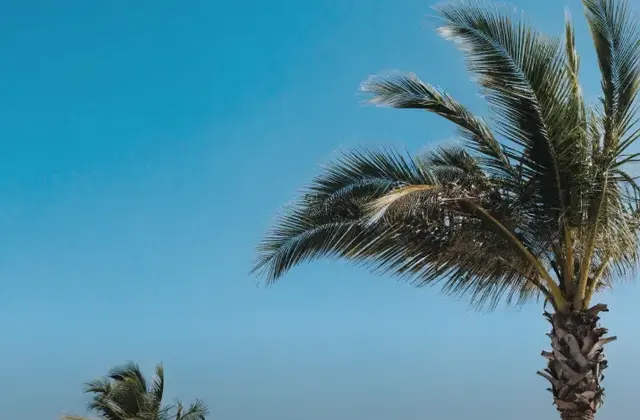 La Isla Scooter Rental