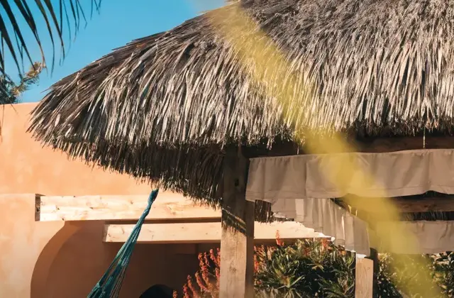 Villa Bonobo