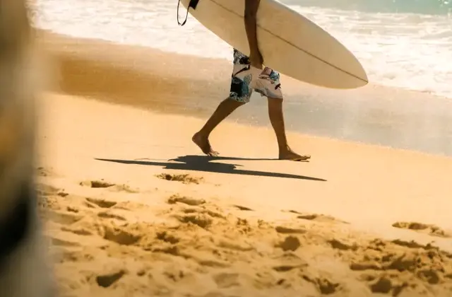 Escondida Surf School