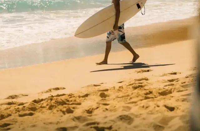 Chenek Surf School