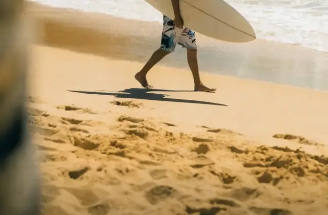 Surf School Low Tide
