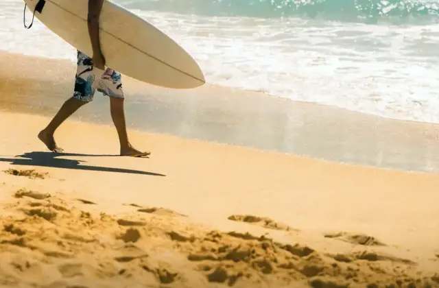 The Surfing Tribe