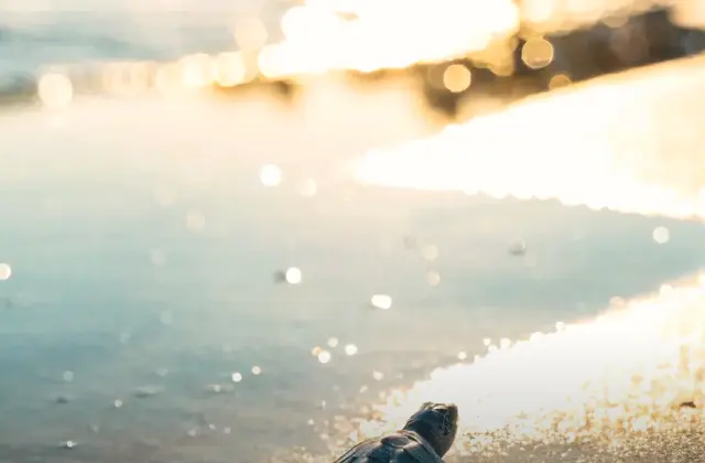 Ismael Moyaho Photography