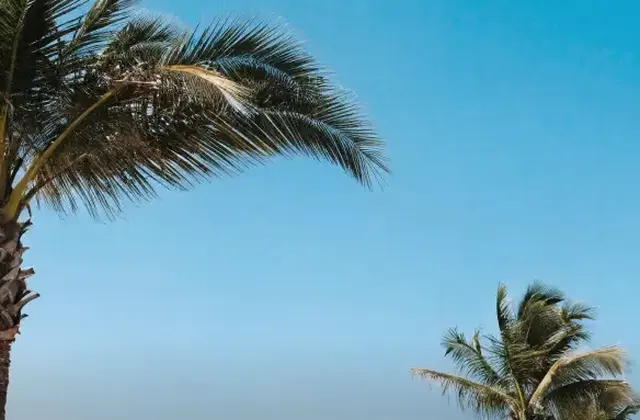 Puerto Scooters