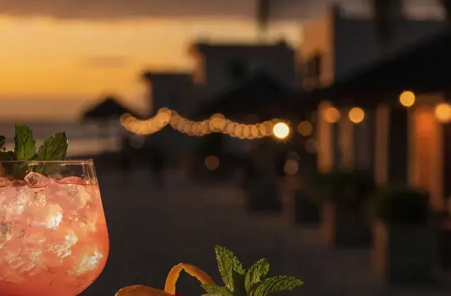 In Situ Mezcalería