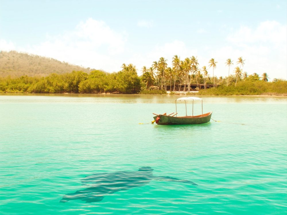 Eco Adventures Puerto Escondido